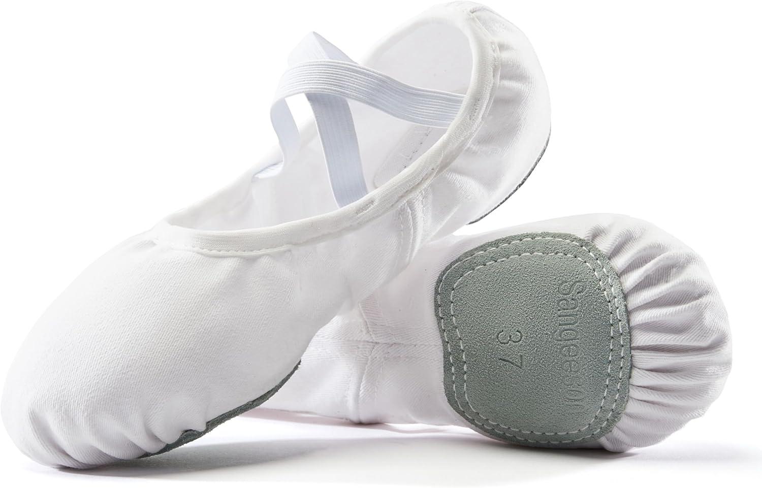ZUMBA Sneakers Versus Ballet Slippers: Surprising Dance Performance