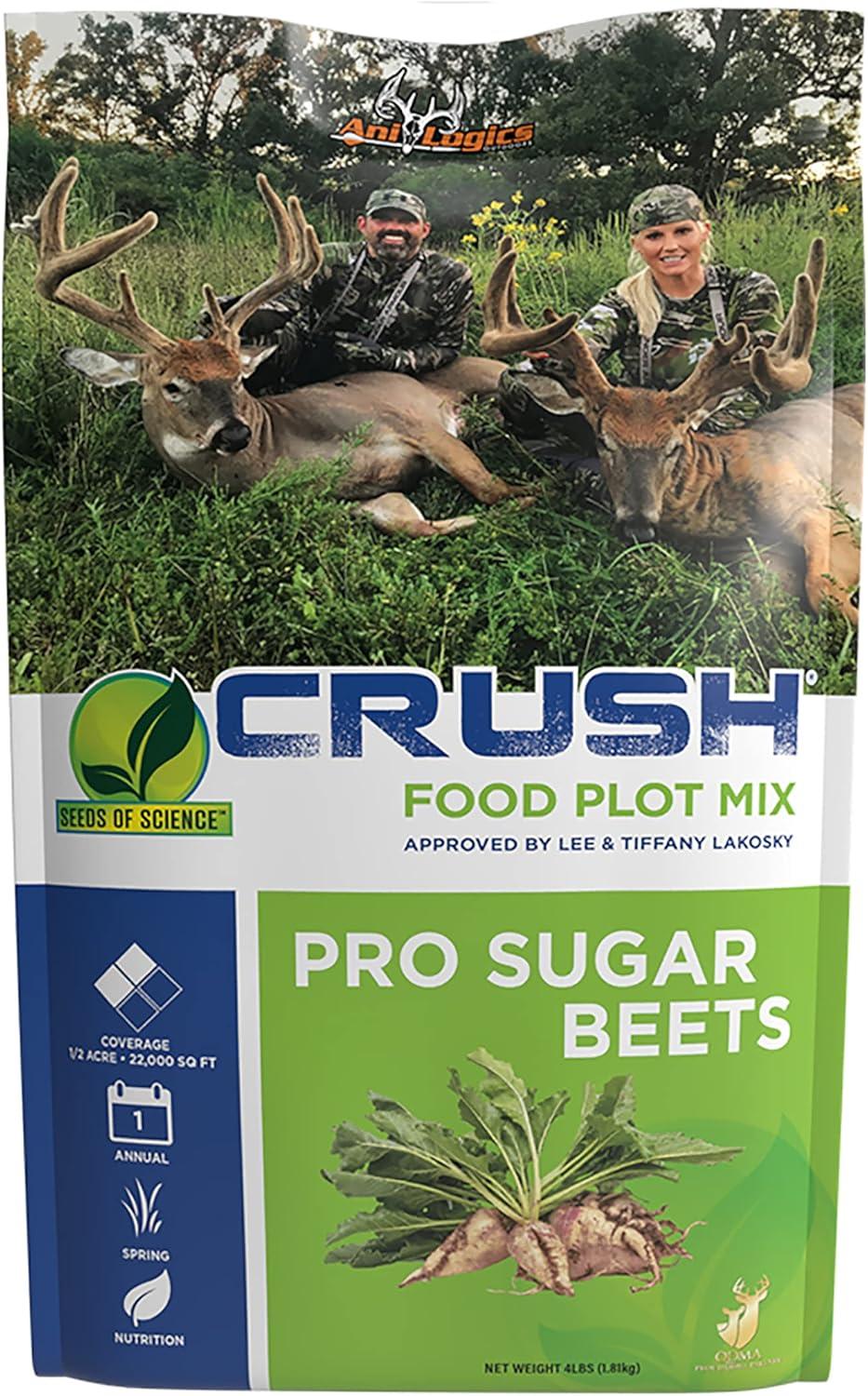 Late Season Deer Attraction Showdown: Sugar Beets vs. Clover