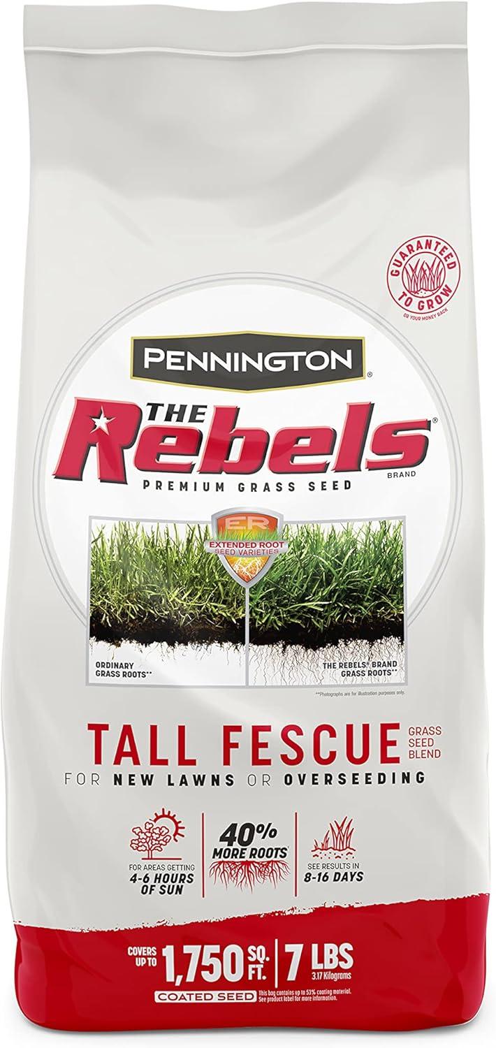 Surprising Showdown: Grass Seed Mixes for Every Lawn Need