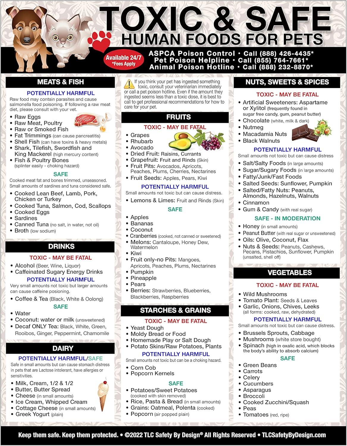 Magnetic Food Safety Chart: Dogs vs. Cats in Pet Nutrition