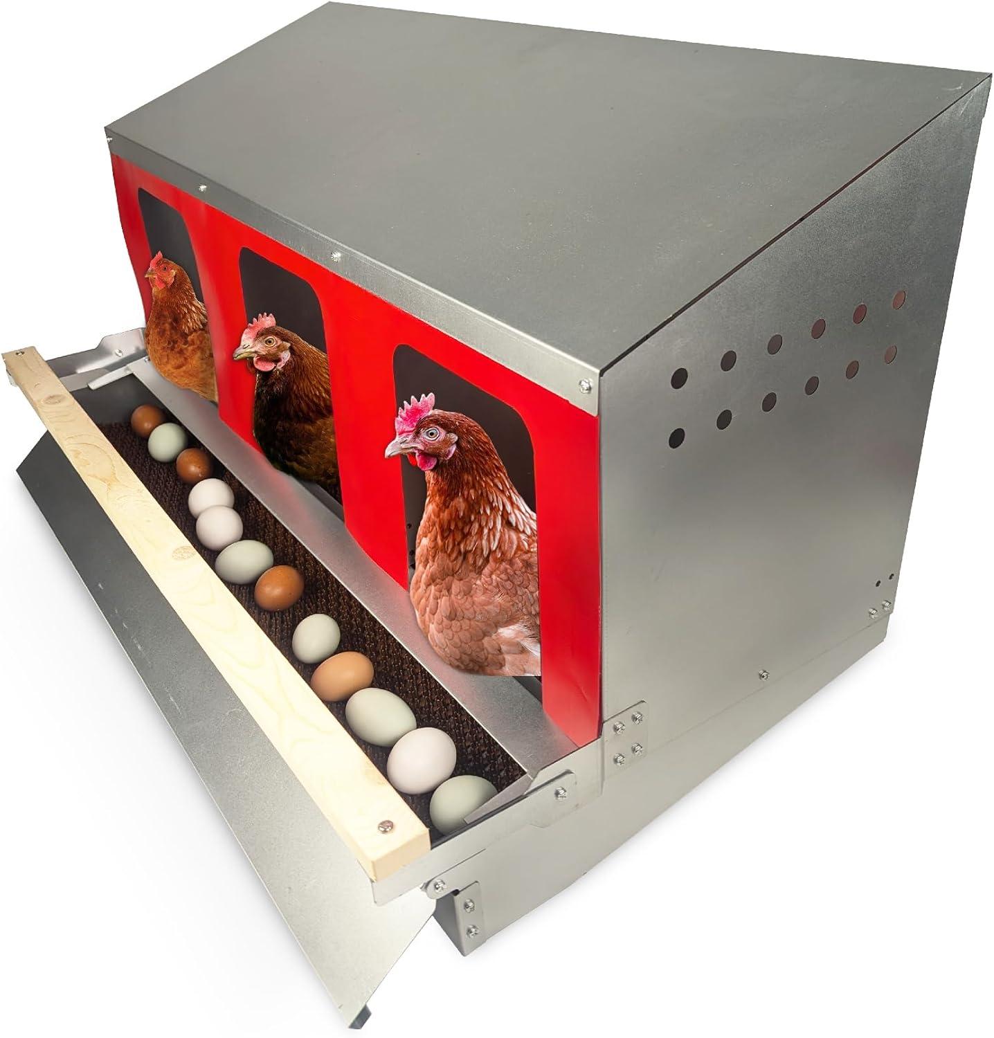 Hen's Choice™ Nest Box Showdown: Roll Away vs. Roll Out