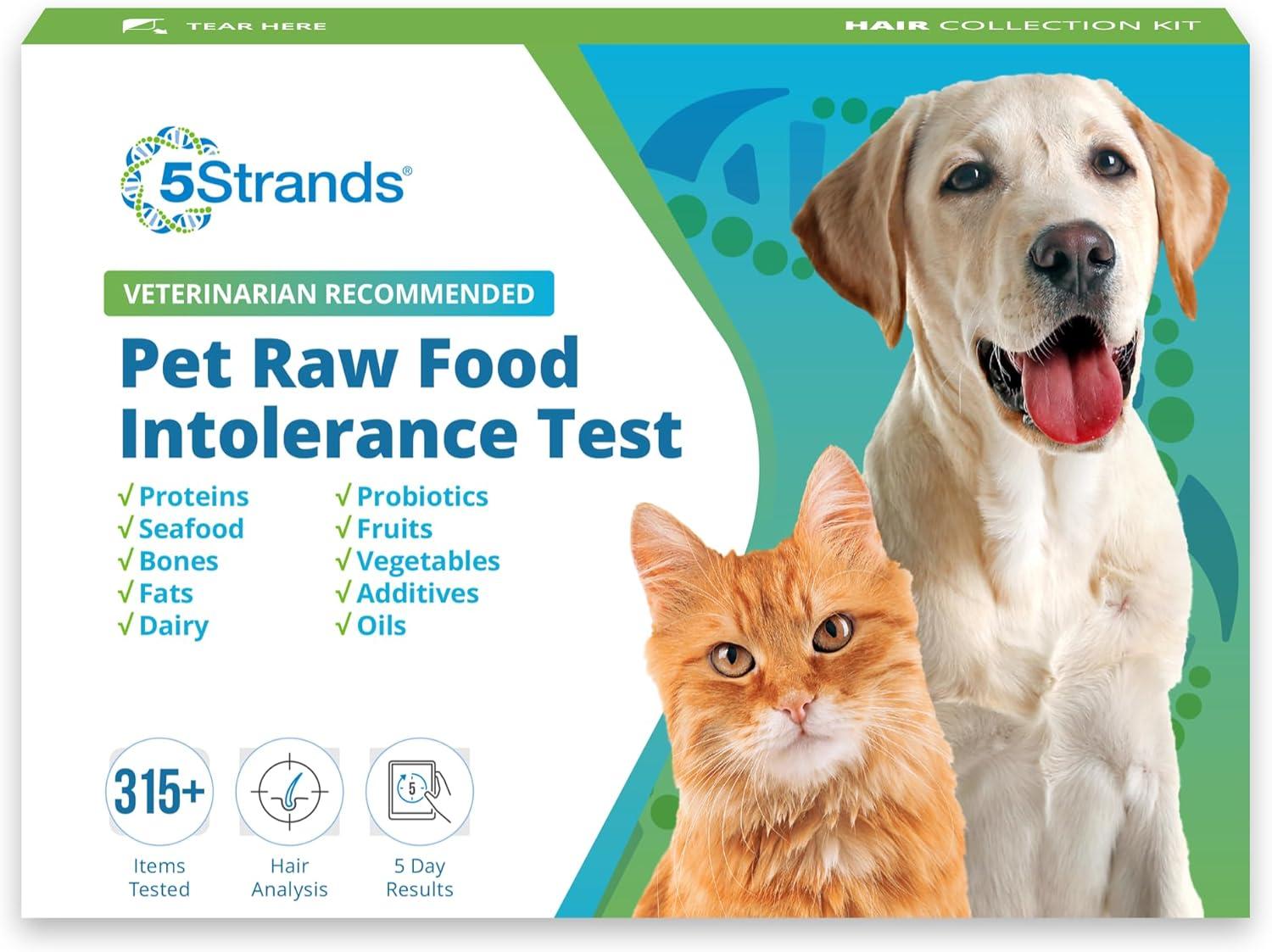 Raw Feeding Showdown: Homemade Meals vs. Intolerance Testing