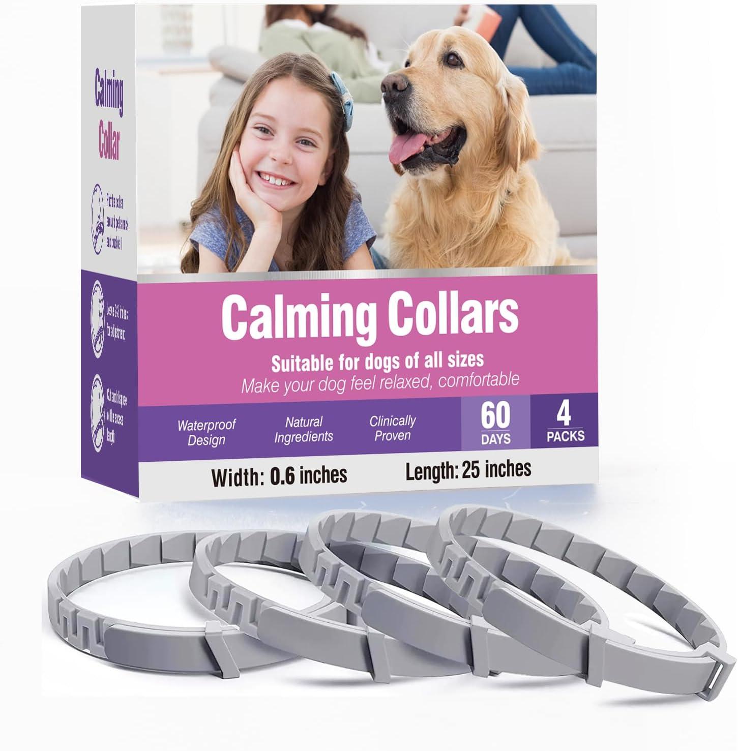 Can a Calming Collar Really Ease Your Dog's Anxiety? A Surprising Look