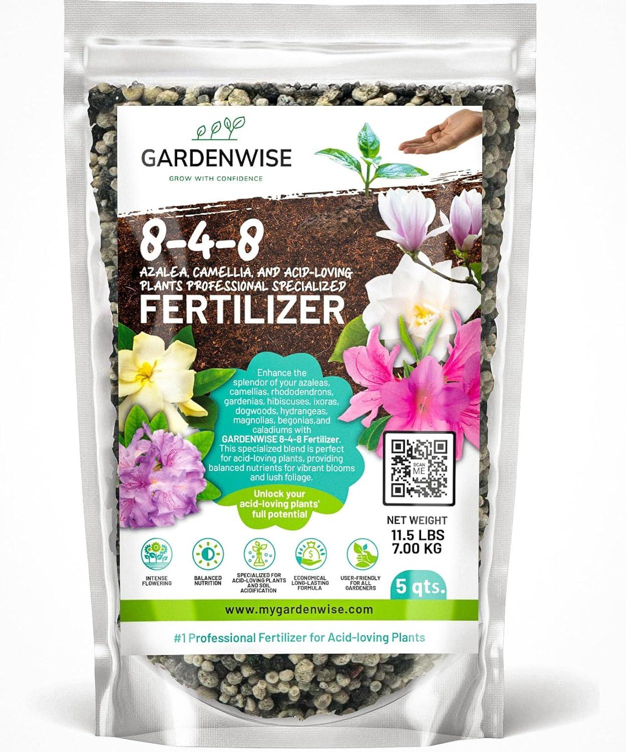 Iron-Rich Fertilizer Showdown: Azaleas vs. Blueberries