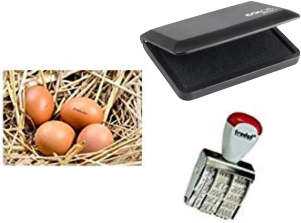 Egg Dater Showdown: Ink vs. Rubber for Freshness Seeker