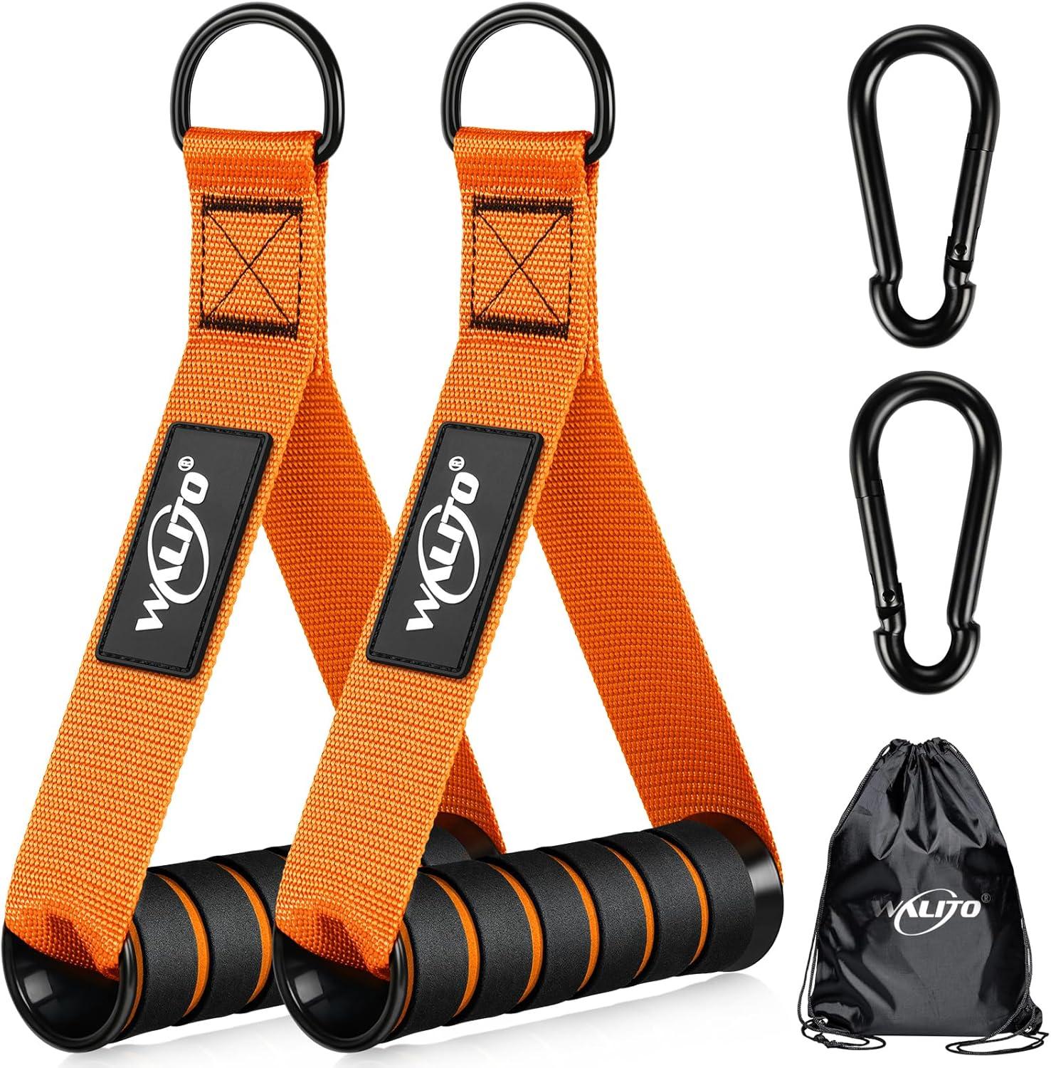 Core Strength Showdown: How Ab Wheels Stack Up Against Bands