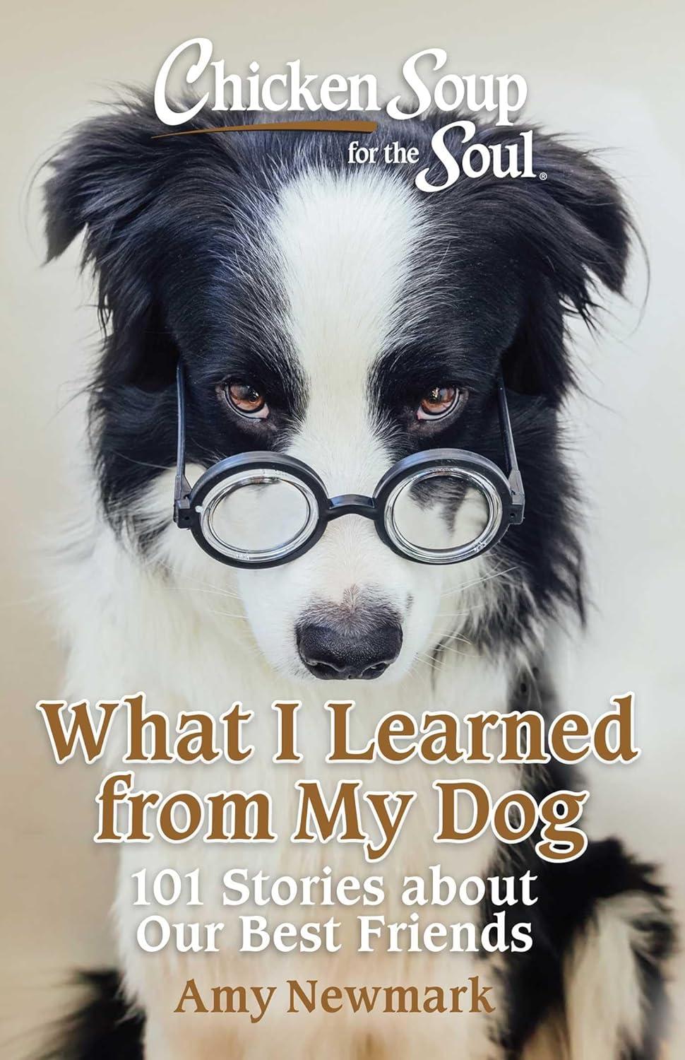 Soup Showdown: Mug, Canned, or Canine Wisdom?