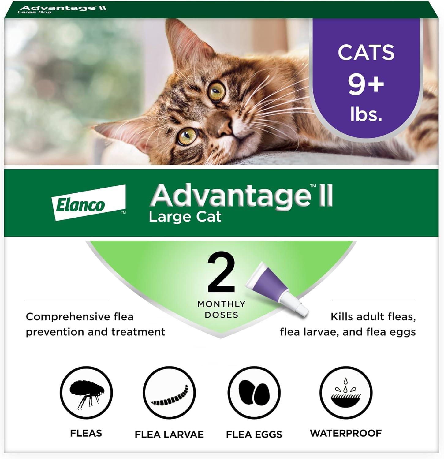 Flea Treatment Showdown: Small vs. Large Cats Unleashed!