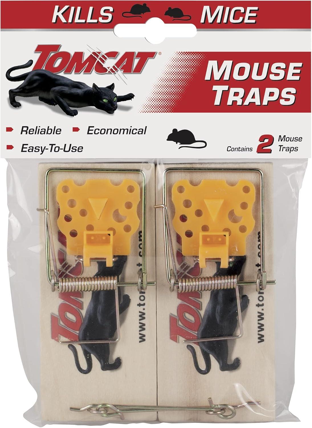 Wooden Traps vs. Humane Cages: Surprising Mouse-Magic Showdown