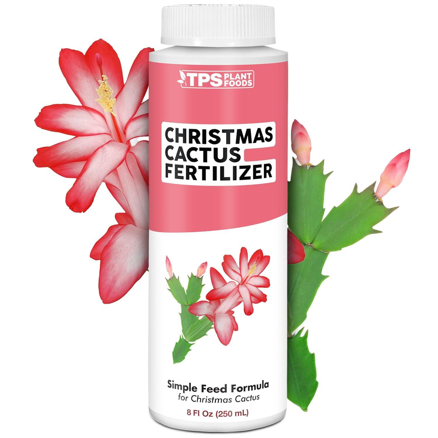 Christmas Cacti Nutrition Showdown: Fertilizer for Festive Growth