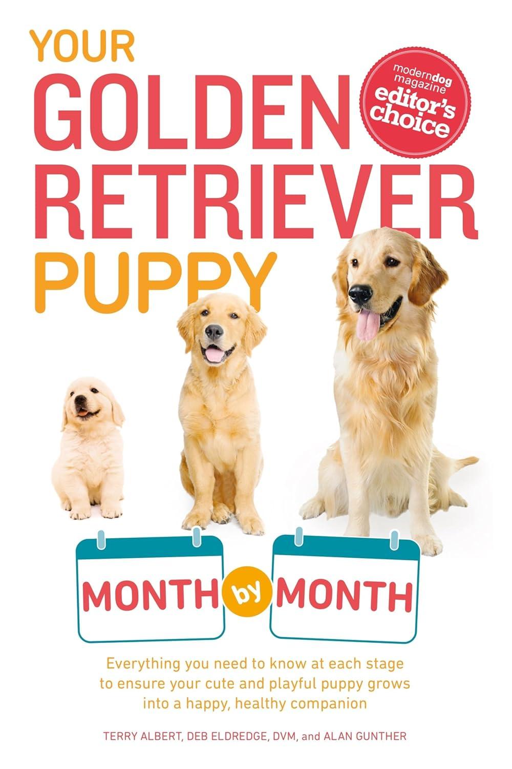 Your Golden Retriever's Month-by-Month Growth: A Surprising Showdown