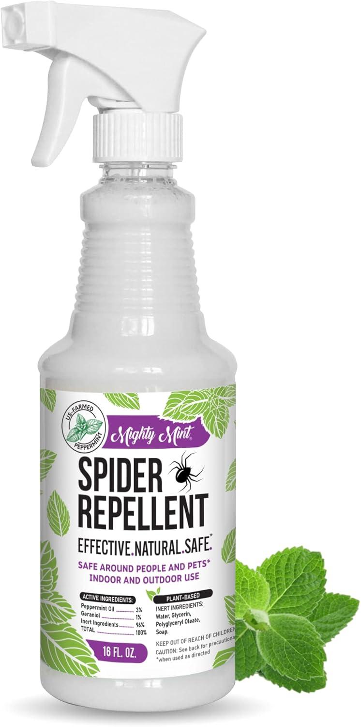 Spider Spray Showdown: Natural Killer + Deterrent Compared For Surprising Insights!