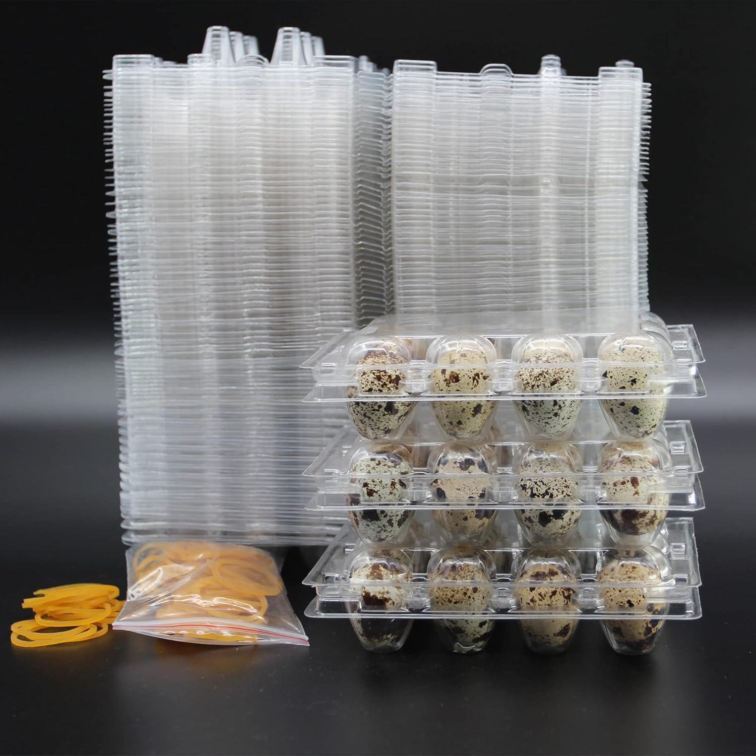 Quail Carton Showdown: 50 vs. 100 Pack Comparison…Egg-cellent Insight!