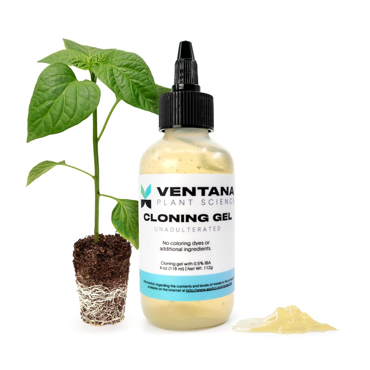 Cloning Paste vs. Rapid Rooter: Tested Growth Boost… See The Surprise!
